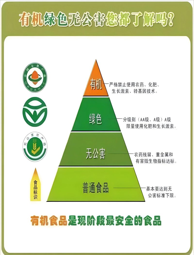 大理公共卫生监测:提升居民健康的有力保障